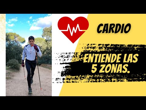 Cardio. Las 5 zonas de entrenamiento.