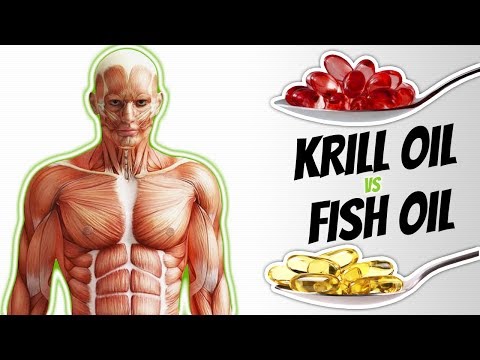 KRILL OIL vs FISH OIL: Which Omega 3 Supplement Is Better (IS IT SAFE) | LiveLeanTV