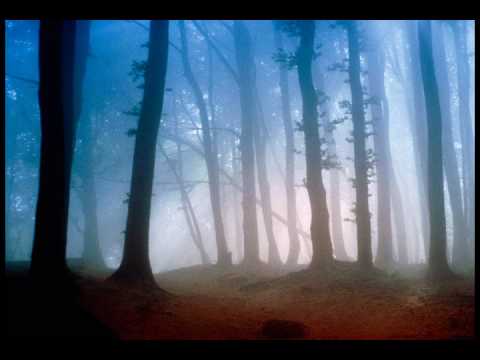 download lagu mp3 mp4 Medicine Buddha Dharani, download lagu Medicine Buddha Dharani gratis, unduh video klip Medicine Buddha Dharani