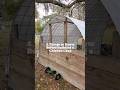 How To Build A Chicken Coop
