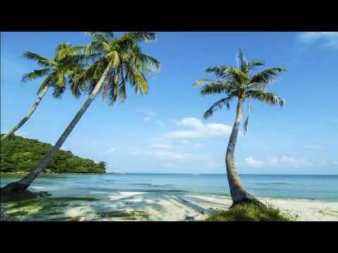 Thể hiện bởi Mạnh Tuấn