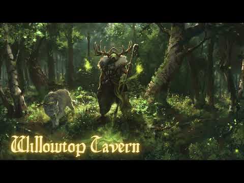 D&D | Fantasy Druid Forest | Celtic Music & Ambience