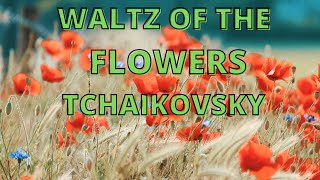 WALTZ OF THE FLOWERS ( VALSA DAS FLORES) -TCHAIKOVSKY