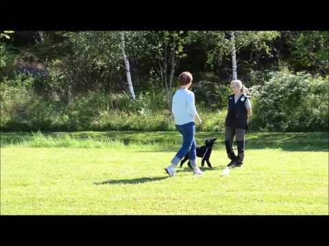 BPH med D- och E-kullen