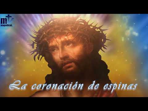 Rosario del agradecimiento. Misterios de Dolor (Martes y Viernes).  Con Jesús  en la Cruz y el Dolor
