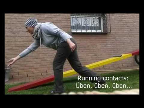 Flummi Teil 2 Februar bis Juni 2016