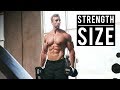 My Bulking Plan For Size & Strength Gains