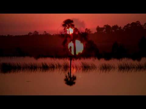 Steve Roach 2016 this place to be