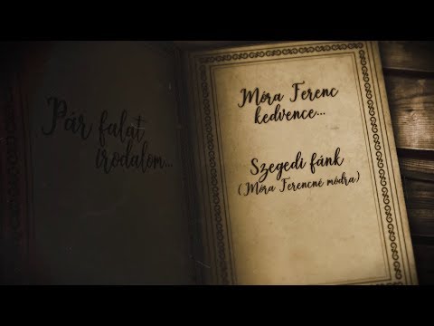 Budafoki élesztő: Szegedi fánk