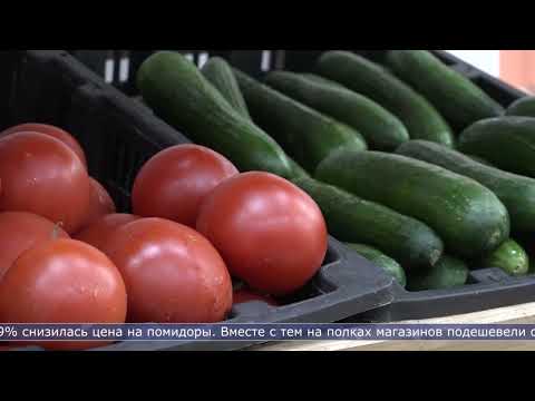 16.04.2026 Турпутёвки в Турцию и Египет в марте выросли на четверть