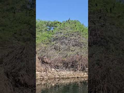 Embalse, Gral Belgrano. Cabra Corral. Isla de los pájaros. Gral Moldes,  Salta.