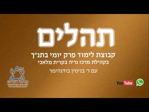 תהלים מזמור נג