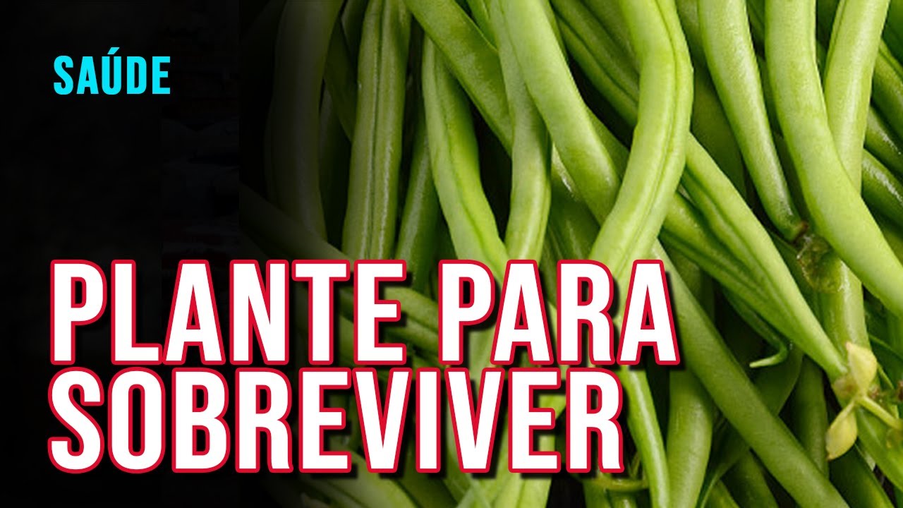 VAGEM CRIOULA - PODEROSA PLANTA PARA SEU QUINTAL - OFF GRID, HORTA E CULTIVO