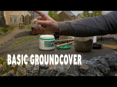 FIVE MINUTES FRIDAY 001 - Basic Groundcover