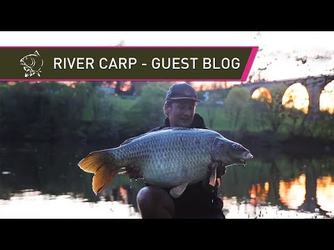 French Social and a Huge River Carp - Jamie Bellhouse Guest Blog