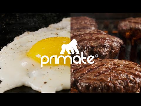 Grilla Grills Gas Grill and Griddle Combo Cooker | Short Overview of The Newest Big Box Brand Killer