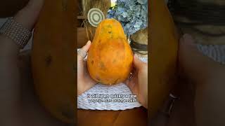 Download lagu How to Pick Papaya mp3 Download lagu How to Pick Papaya mp3