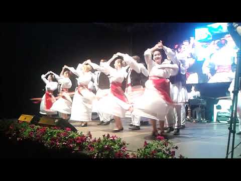 ANSAMBLU JUNII GUGULANI DIN CARANSEBES