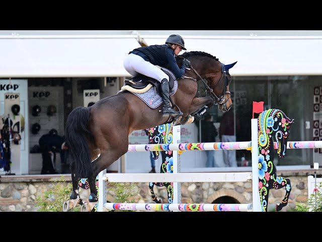 The full brother of this frozen embryo is the CSI 1.55m jumping Stallion Corlou PS with rider Caroline Muller.