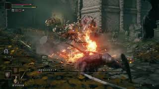 エルデンリングのんびり配信3