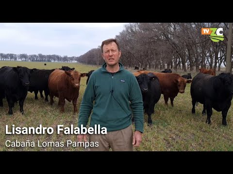 ZonaCampo de visita: Cabaña Lomas Pampas