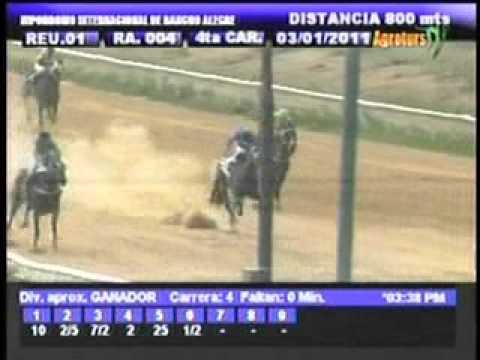 Resumen Lunes, 03 de Enero de 2011 - Rancho Alegre