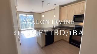 Avalon Irvine - Phase I 615 Sq Ft One Bedroom - One Bath Apartment (A1)