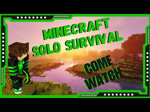 Ultimate Minecraft Survival Challenge! Chat Controls My Solo Game 🔥