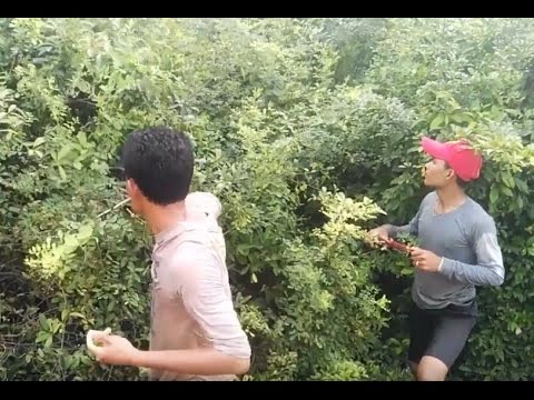 Amazing Hunting Mouse and Net Fishing | Cook n Catch