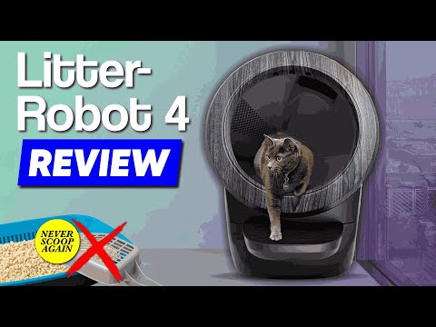 Litter Robot 4 Review | Is It the Best Automatic Cat Litter Box? My Personal Thought
