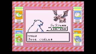 【ポケットモンスター赤】ワタル戦