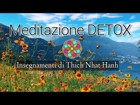 MEDITAZIONE GUIDATA - il tuo giardino interiore🙏🌱