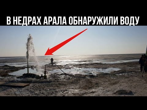 Пресную воду нашли на высохшей части Аральского моря
