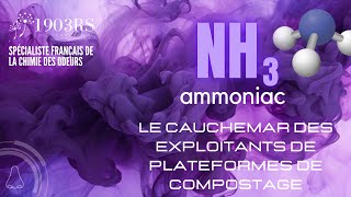 Solutions NH3 1903RS