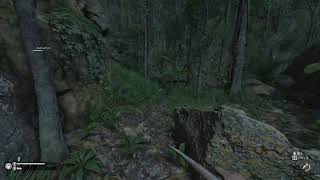 「サバイバル」green hell