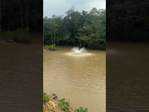 Lugar lindo pra conhecer em Santa Catarina Parque do Iguai em Siderópolis ￼