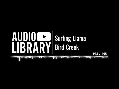 Surfing Llama - Bird Creek