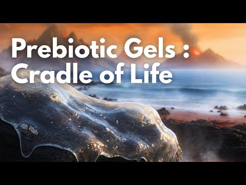 Prebiotic Gels - Cradle of Life