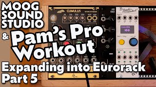 Video thumbnail for Pam's Pro Workout | Expanding The Sound Studio | Part 5 by Braintree56
