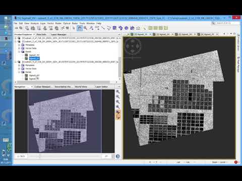 Sentinel-1 for Rainforest Monitoring - I Preprocessing