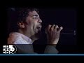 Willie González - Quiero Morir En Tu Piel 