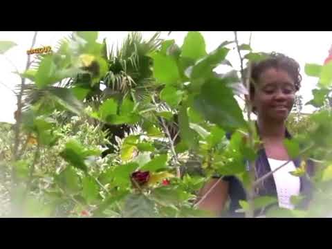 Valda Pool  - Dan ou tanp