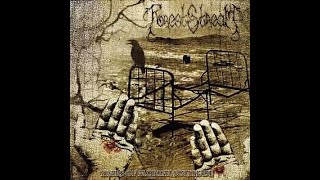 Forest Stream - Mel Kor