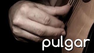 Pulgar Training Package Trailer