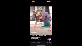 【TikTok】【まとめ】【胸チラ②】今日の美女たち