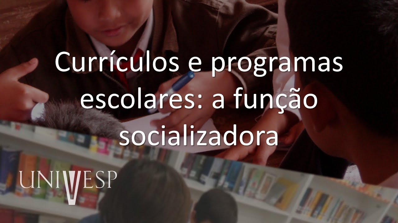 Políticas Educacionais, Estrutura e Organização da Educação Básica - Currículos e programas