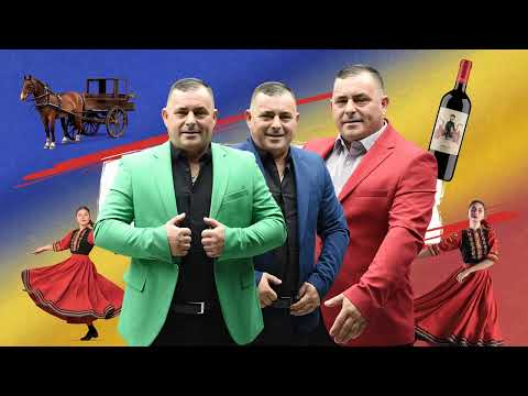 🔥 Muzică pentru Petrecere 2025 | Colaj Popular cu Acordeon și Chef