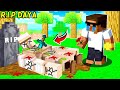 Who Killed Daya In Minecraft