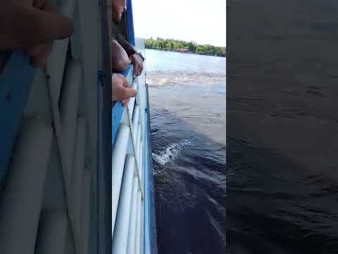 Comandante Sid saindo de Melgaço - PA para Belém