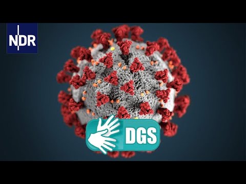 Gebärdensprache: Coronavirus-Update #109 | Coronavirus-Update NDR Info | NDR